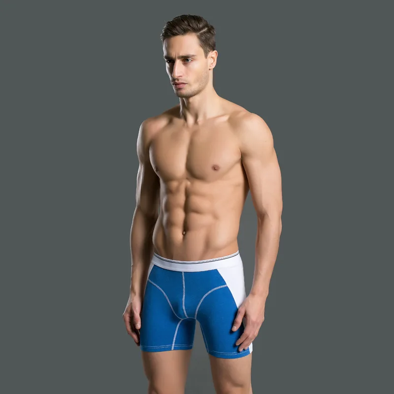 2019 хлопок длинные ноги Для мужчин s боксеры нижнее белье трусы Pour Homme шорты