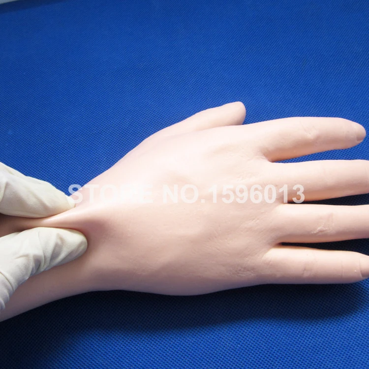 IV тренировочная рука обучающая модель для инъекций ручная Venipuncture|models wholesale|hand held