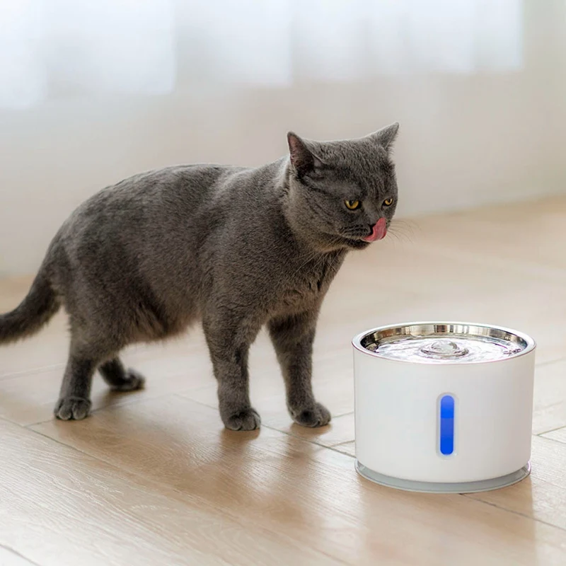 Pet светодиодная чаша для воды USB Reachargable водный фонтан кошачьей собаки бесшумный