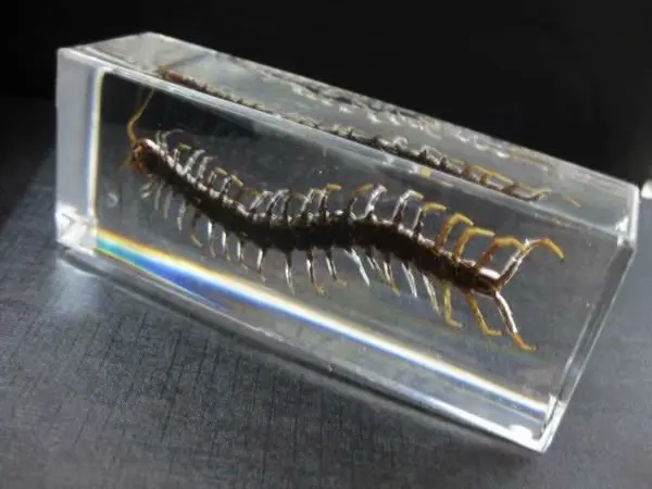 Распродажа Творческий NO 4 стиль образец книги инструмент подарок для украшения