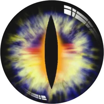P2264 Глазной зрачок оснастки 10 мм 12 мм 14 мм 16 мм 18 мм 20 мм 25 мм 30 мм круглый дракон фото стекло кабошоны купол с плоской задней частью для изготовления ювелирных изделий - Цвет: P2264
