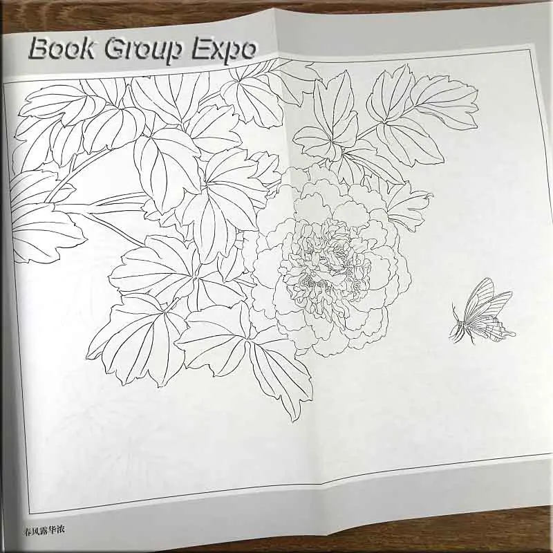 Практичная белая эскизная рукописная живопись рисование линий bai miao gong bi book для