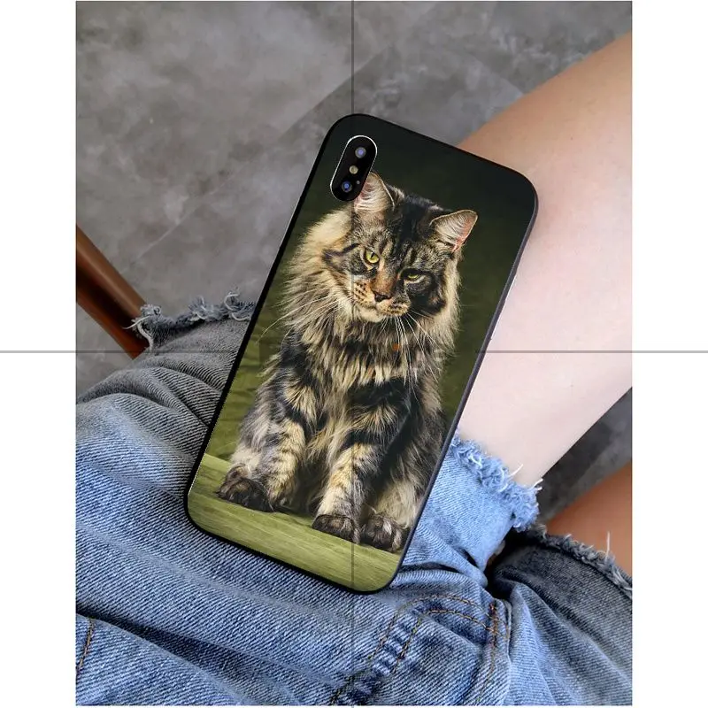 A10 Babaite pet мейн-кун кошка черный мягкий силиконовый чехол для телефона чехол для Apple iPhone 8 7 6 6S Plus X XS MAX 5 5S SE XR Чехол для мобильного телефона s - Цвет: A10