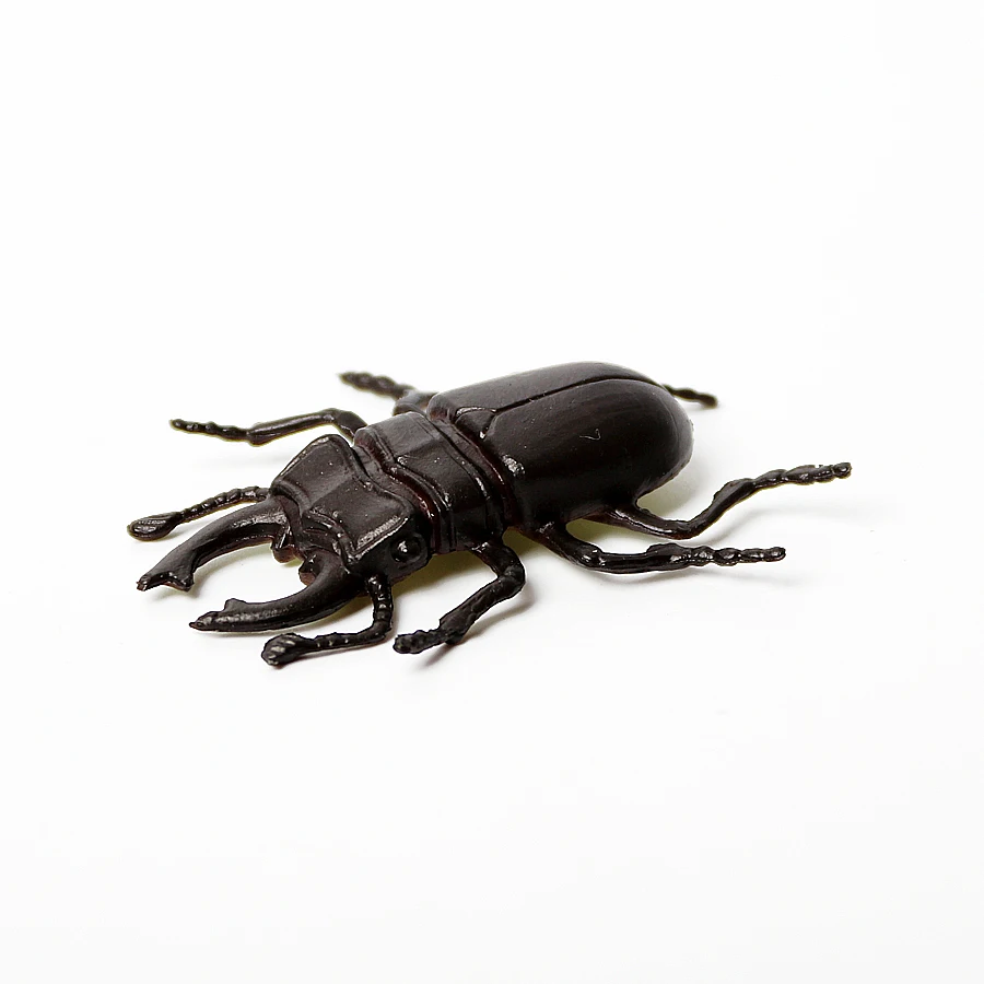 Модель Beetle модель моделирования для детей раннее Когнитивное обучение фигурка