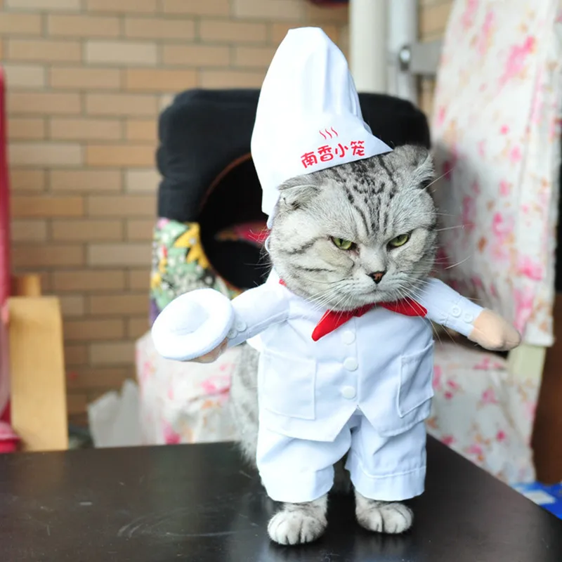 

Chef Style Pet Dog Clothes Cat Costume Dog Supply