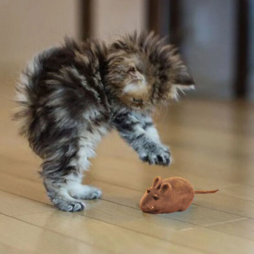 Флокирование товары для животных игрушки кошек котенок собака игры со щенком