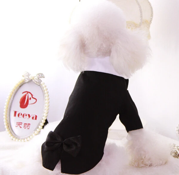 1 шт. крутой Модный свадебный костюм с бантом для собак и кошек смокинг щенков