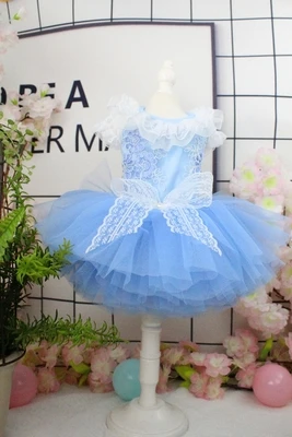 Style2 OnnPnnQ роскошное платье для собак, кружевное платье чонсам, стильная зимняя теплая одежда для маленьких собак, мягкие флисовые Свадебные платья для щенков, чихуахуа - Цвет: Style2