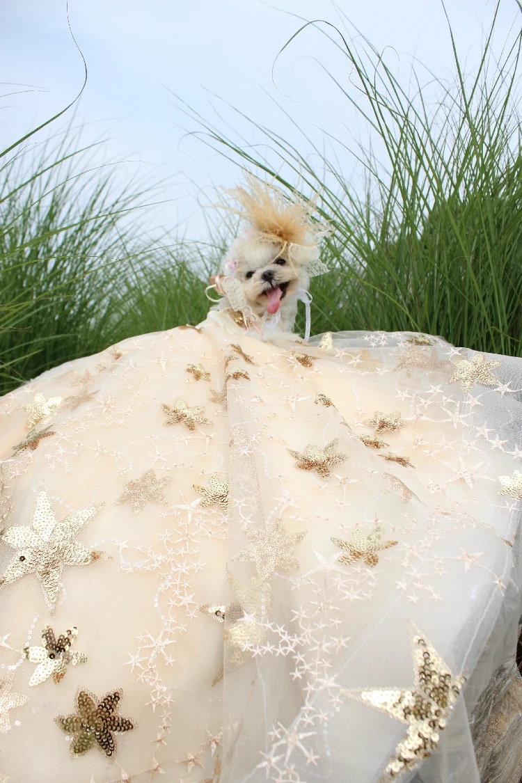 Pet Dog Dress Luxury Trailing Princess Wedding Dress For Small Dogs Golden Embroidery Puppy Clothes Lace Dress Chihuahua Poodle