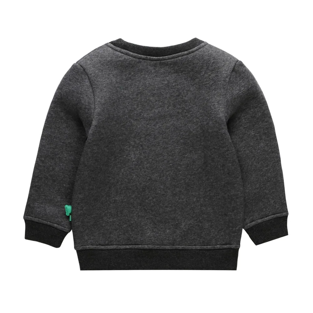 2016 Новых Мальчиков Толстовки Мультфильм Pattern Для Детей Детская Одежда С Длинным