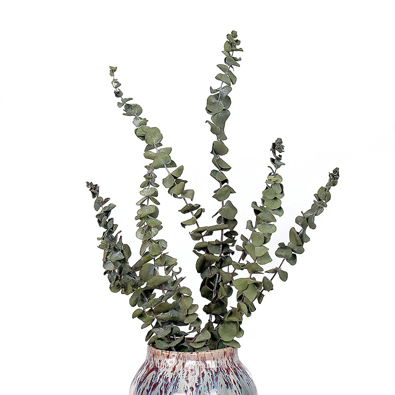 1 шт. сушеные цветы из листьев эвкалипта для гостиной|Искусственные и сухие цветы|