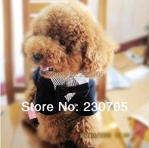 Официальный домашнее животное собака щенок одежда западный стиль костюм галстук