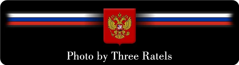 Three Ratels TZ-1051 24*39.2см 14.6*24см 1-4шт прикольные светоотражающие виниловые наклейки на авто музыка должна не играть а хуя*рить наклейки на машину наклейка для авто