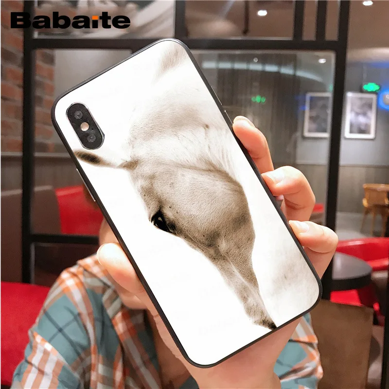 Фредерик красавица лошадь ТПУ черный чехол для телефона iphone X XS MAX 8 7 6S Plus 5S SE XR