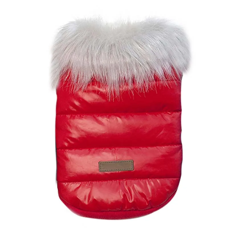 Warm Dog Clothes For Small Dog Windproof Winter Pet Dog Down Padded Clothes Puppy Outfit Yorkie Chihuahua Clothing Jacket&Coat
