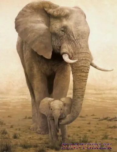 

24x36" Large Animal Oil Painting On Art Canvas - African Elephant(No Framed)