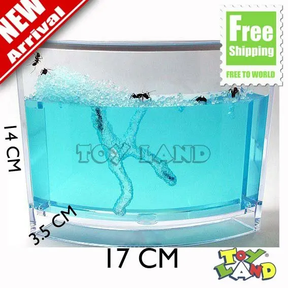 Free Shipping 100% Antworks New Novel Ecological toys Ants home Educational Children's |toy story characters fancy dress|toy sex for mantoy yoyo |