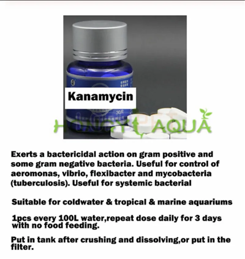 knanmycin 100 шт./бутылка, маленькая голубая бутылка для рыбы, лекарственные товары для аквариума, обычные лекарственные средства, Базовая Медицинская помощь - Color: knanmycin