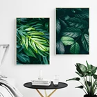 Природа тропический пальмовый лист монстера настенная Картина на холсте скандинавские плакаты и принты настенные картины для гостиной домашний декор