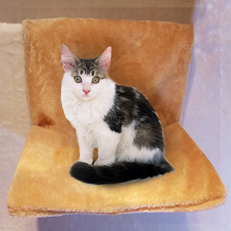 Hoomall мягкая кошка гамак окно гамаки Диван Кошка безопасная висячая полка сиденья