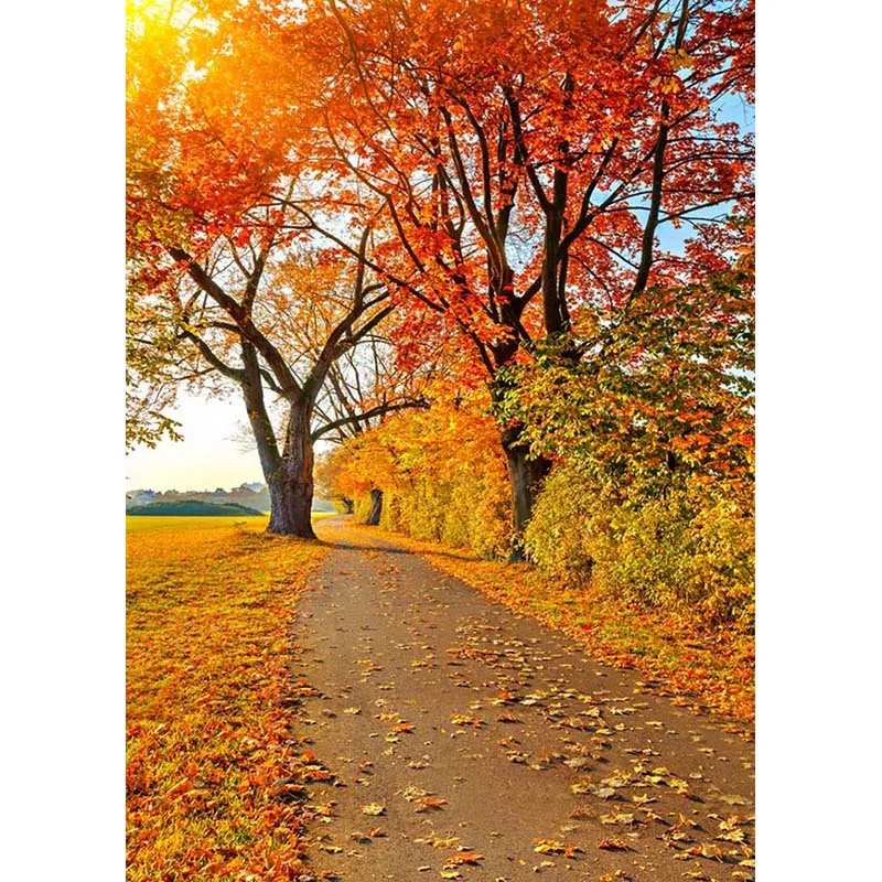 

5X7ft Vinyl deep Autumn Path Backdrop for Photographers Maple Leaf Background for children Photo Studio Folded Props