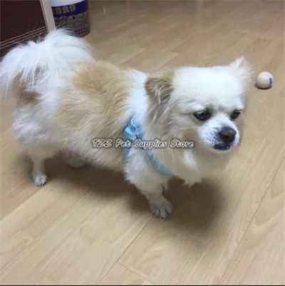 D05 собаки жгут свет Pet ремень световой жгут собак для среднего большой собаки