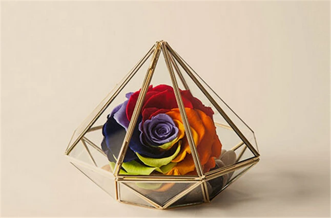 Минимализм в форме алмаза подвесной стеклянный террариум местные тираны золото