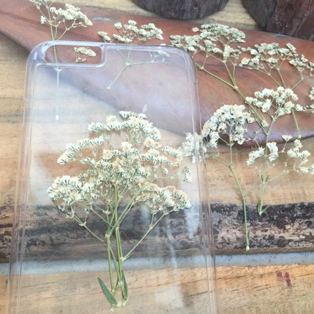 12 шт. натуральный прессованный цветок для изготовления карт и Цветочная