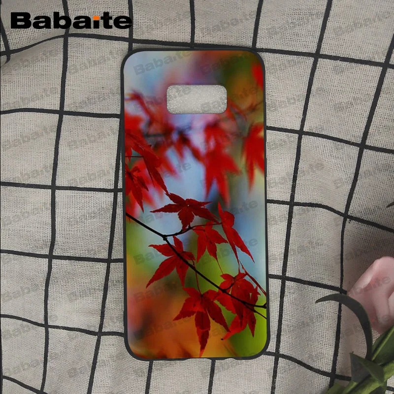 Осенний силиконовый чехол для телефона Samsung Galaxy s9 s8 plus note 8 note9 s7 s6edge funda Babaite |