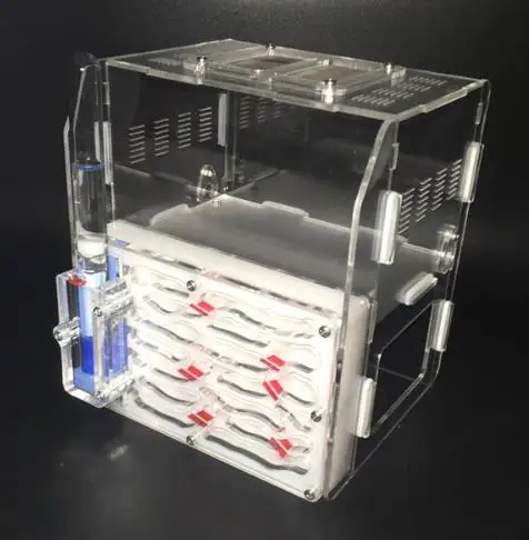 Big Capacity Thick Ant Nest Acrylic Farm Ants Palace Castle Insect Pet Cage Villa Workshop Student Scientific Device Toy F1H | Дом и сад