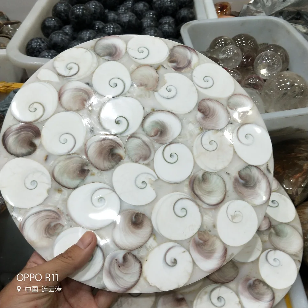 Окаменелая тарелка из аммония Natura Shell a compassl MADAGASCAR Fossil с лечебным действием