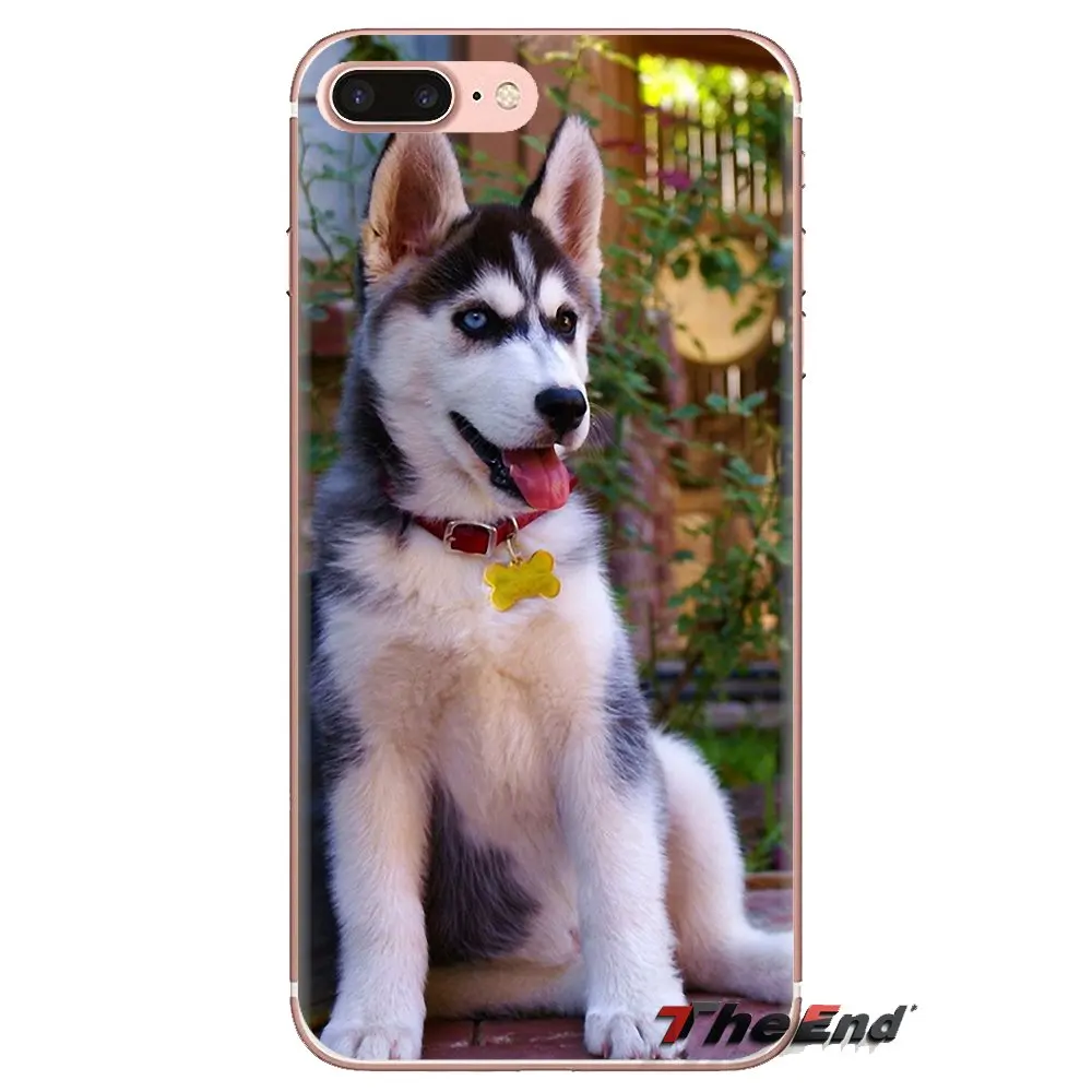 Soft Transparent Cases For Huawei Mate Honor 4C 5C 5X 6X 7 7A 7C 8 9 10 8C 8X 20 Lite Pro Siberian Husky Dog puppies Art Pattern |