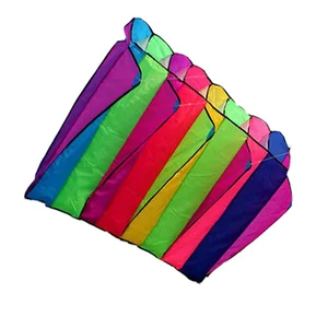 Однолинейный кайт с программным обеспечением, легко носить с собой и легко летать