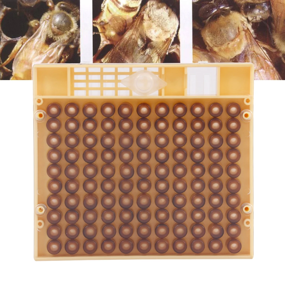Пчеловодство 120 ячеек чашки пчелы набор инструментов queen Rearing системы пчела
