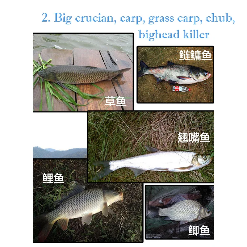 Бутилированные частицы рыболовные приманки Crucian Carp Bream Culter Alburnus Предпочтительная