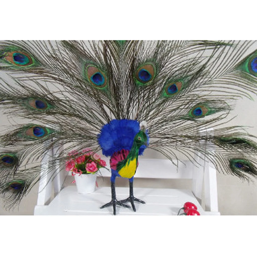 10 Peacock Живой искусственный Magpie, дятел, Shrike, Throstle, Павлин птица реалистичные Taxidermy украшения для дома и сада - Цвет: 10 Peacock