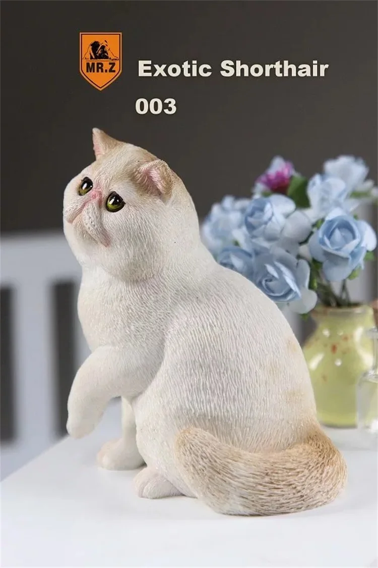 MR. Z серия «животные» № 8 1/6 экзотические короткошерстной кошки персидская кошка Гараж Комплект для детей возрастом от 1" фигурку сцена DIY украшения автомобиля