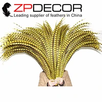zpdecor 32 36inch80 90cm 50pieceslot good quality yellow long lady amherst pheasant tail feathers for carnival decoration