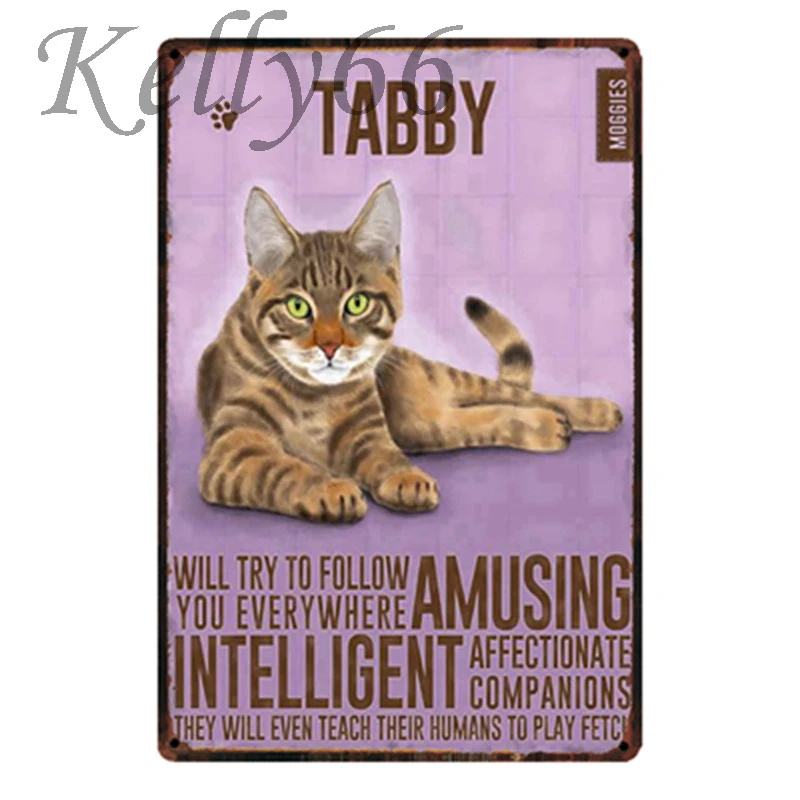 

[Kelly66] Tabby CAT металлическая вывеска, жестяной плакат, домашний декор, бара, настенная живопись, размер 20*30 см