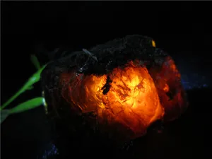 Natural Red Blood Amber Minerals Stones Perot Blood Crystal Rock Specimens Mellite Noneystone Processing of Raw Materials