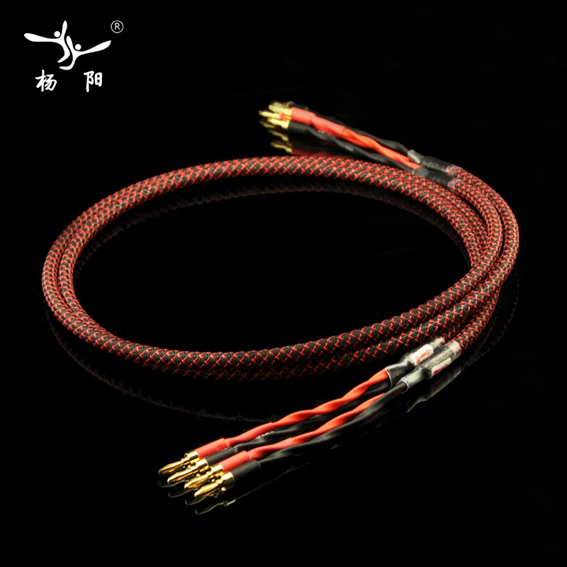 YYAUDIO 1 пара HiFi 2 банан к динамик кабель/Canare 4S8 аудио кабель для усилителя м/1 5 м/2 м/3