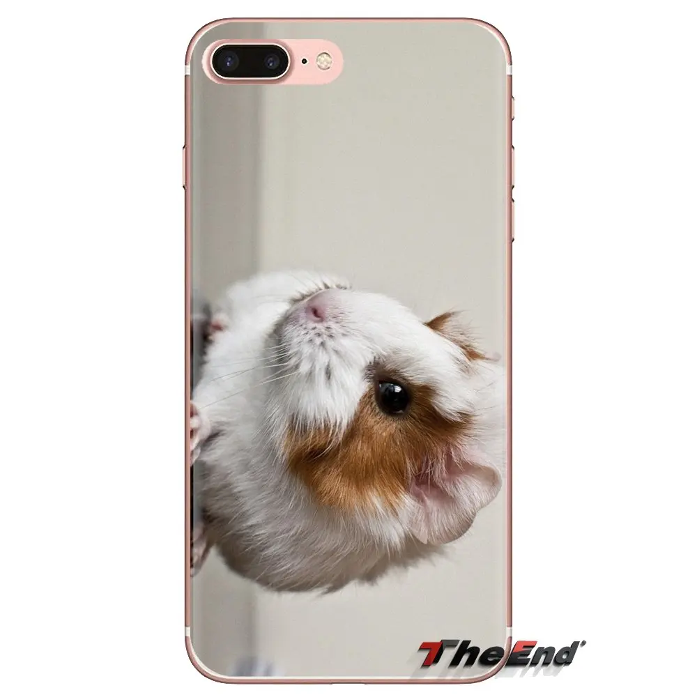 White guinea pig Animal Soft Transparent Shell Covers For iPod Touch Apple iPhone 4 4S 5 5S SE 5C 6 6S 7 8 X XR XS Plus MAX |
