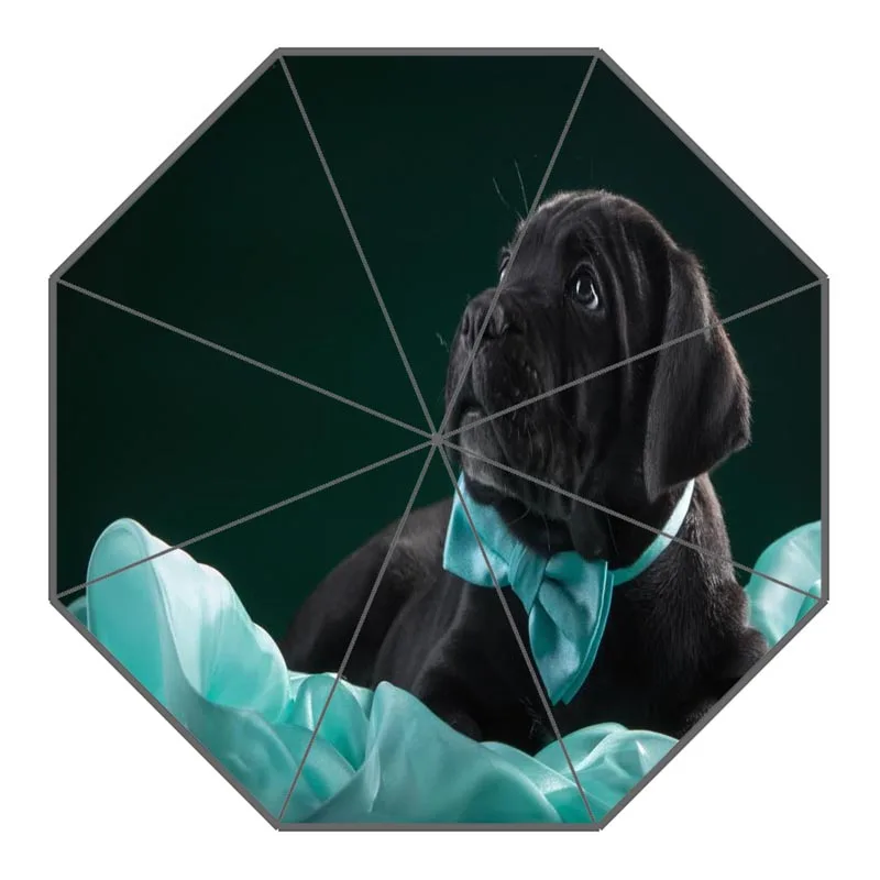 14 Custom Cane Corso Dog Umbrellas Polyester Fabric High Quality Sunny And Rainy Umbrella Non-Automatic Umbrella For Adults - Цвет: 14