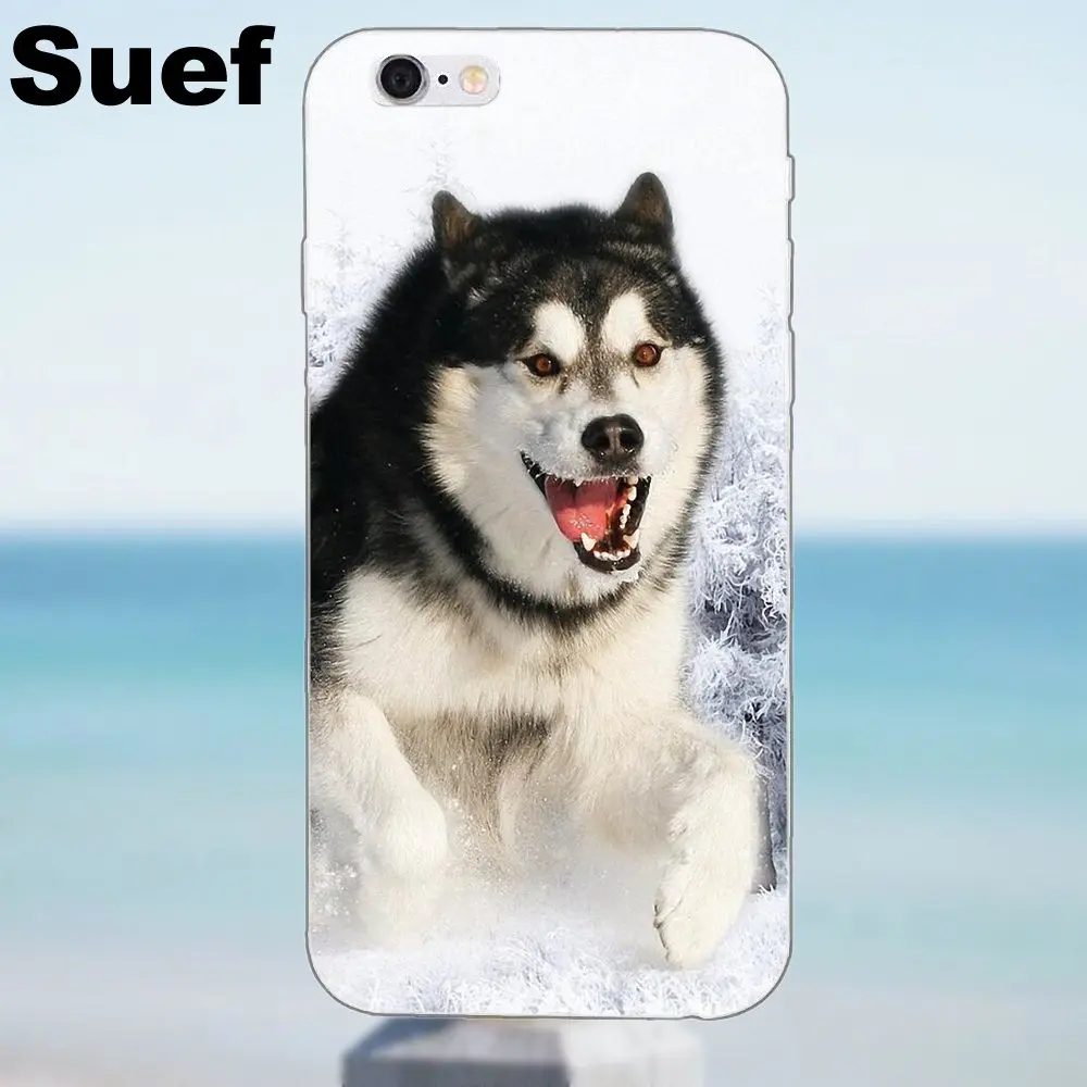 Для iPhone X 4 4S 5 5S 5C SE 6 6S 7 8 Plus Galaxy J1 J3 J5 J7 A3 A5 2016 2017 мягкий термополиуретановый узор для