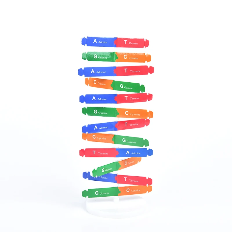 &quotСделай сам&quot для детей ствол игрушка физики научный эксперимент творческие