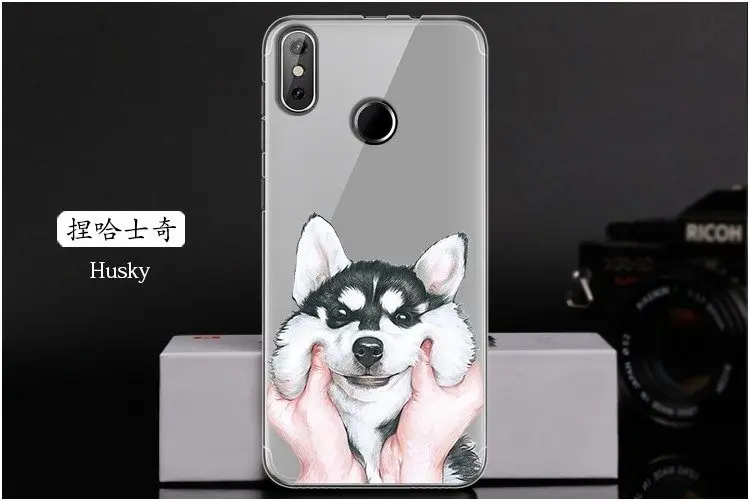 Мягкий силиконовый чехол для телефона Обложка для Cubot R11(J3 Pro) 5,5-дюймовый ТПУ Мода красочные картины Роспись Прозрачный чехол