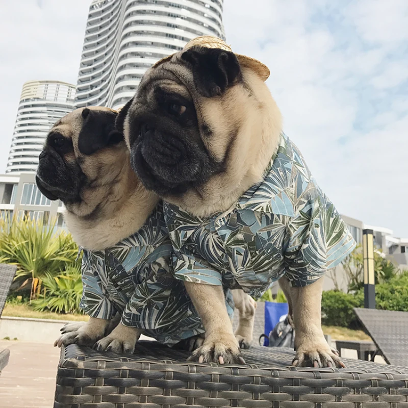 Bigeyedog летняя одежда для собак Рубашка для питомцев Мопс французская одежда для бульдога Frenchie одежда Прямая поставка рубашка для собак костюм одежда