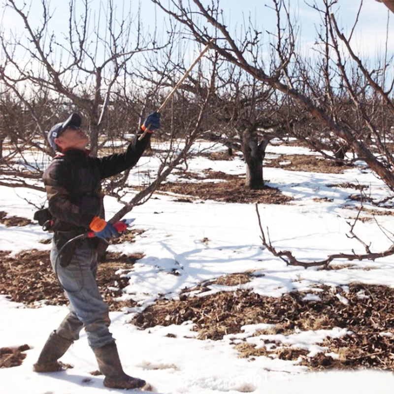 Бесплатная доставка 1 шт. SCA2 Электрический секаторами (полный набор инструментов