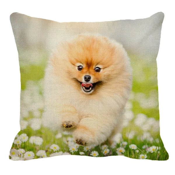 XUNYU Pomeranian Print Linen Pilllowcase Home Sofa Square Cushion cover Animal Dog Pattern Pillow cover AC105 - Цвет: 5