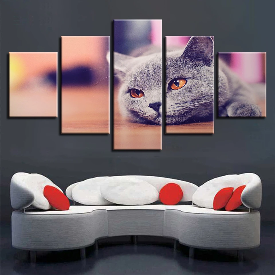 Canvas Paintings For Living Room Poster Framework 5 Panel Grey Cat Pictures Wall Art Animal Home Decor | Дом и сад